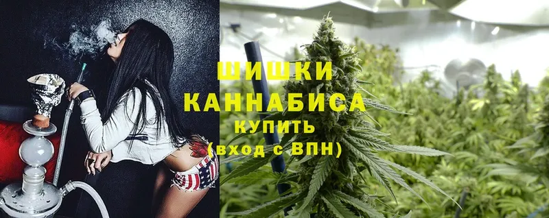 Канабис OG Kush  Шадринск 